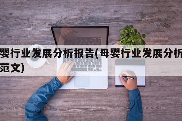 母婴行业发展分析报告(母婴行业发展分析报告范文)